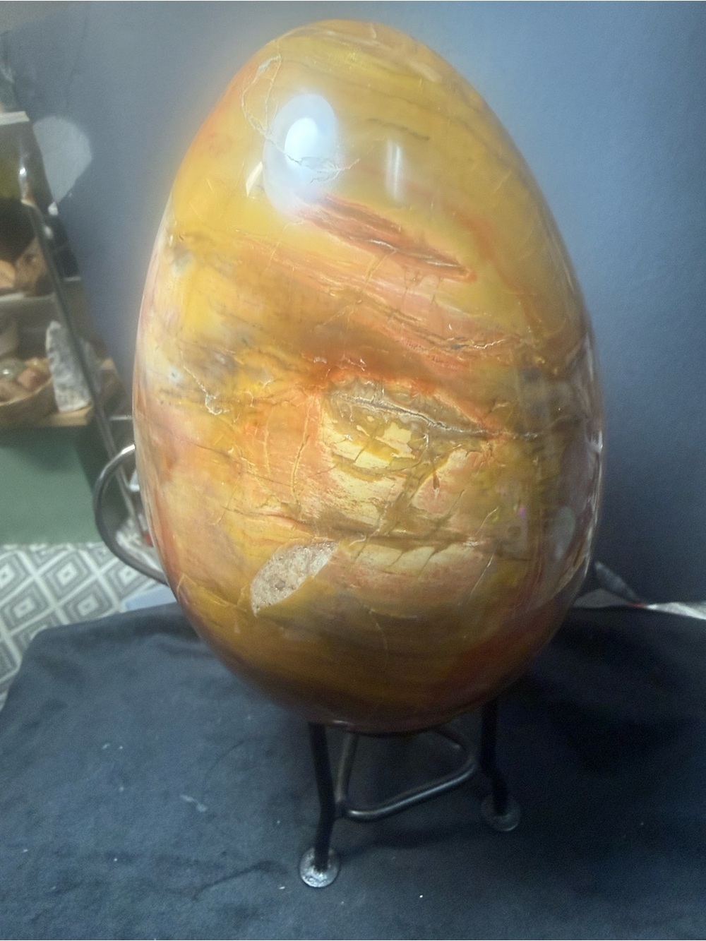 #1   7 lb Petrified Wood Egg — 119 mm Wide x 167 mm Tall